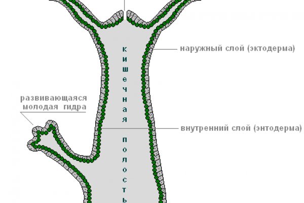 Кракен действующая ссылка