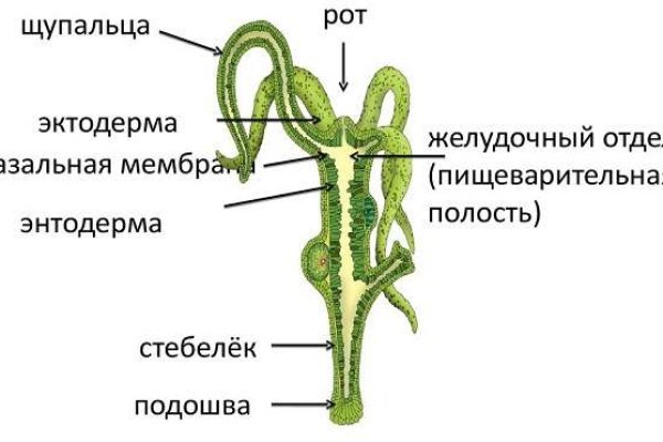 Не могу зайти на сайт кракен