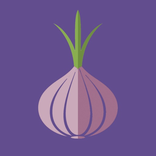 Kraken 16 onion